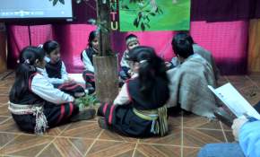 We Tripantu en Quitra Quitra: Niños de escuela rural recibieron el Nuevo Año