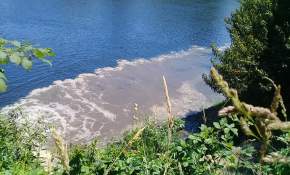[FOTOS] Denuncian a Essal por descargar aguas servidas en el río